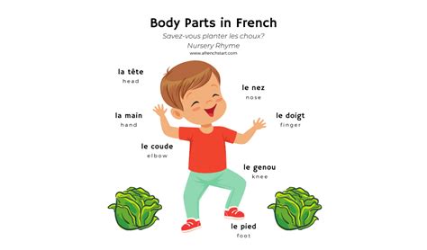 Learning Body Parts In French Nursery Rhyme A French Start