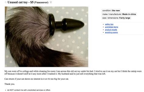 Mom Allegedly Tries To Sell Sons Butt Plug As Cat Toy On Craigslist
