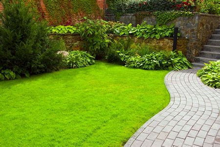 Can You Revive A Burnt Lawn - How To Fix Burnt Grass From Pool