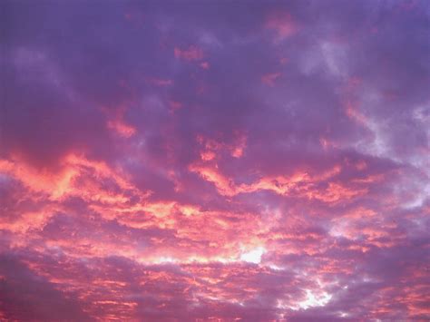 Photo Pink Sky By Insaneninjane D4r0wmx Lovelys Ive Collected