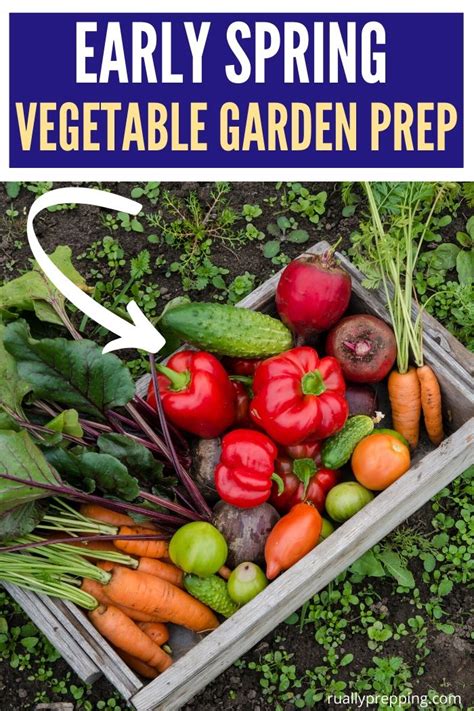 Guide To Early Spring Vegetable Garden Preparation Rurally Prepping