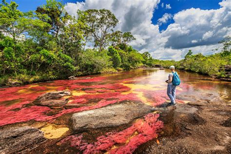 The Best 9 National Parks In Colombia Lonely Planet