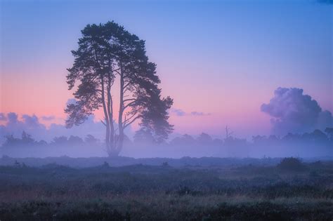 Interesting Photo Of The Day Foggy Pastel Sunrise
