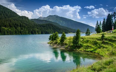 Download Wallpaper 1680x1050 Nature Lake Mountains Forest Widescreen