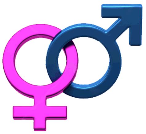 Gender Symbol Female Symbol Png Download 17851640