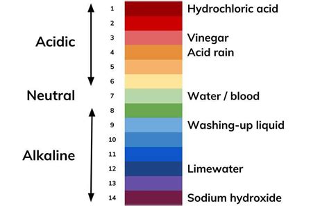 Sodium Hydroxide On Ph Scale Xx Photoz Site