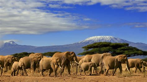 Amboseli National Park Tips En Informatie Matoe Tours