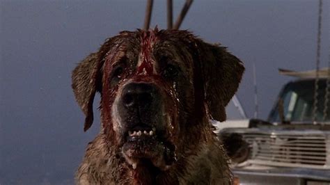 Check spelling or type a new query. 15 Of The Most Shocking Killer Animals In Movies