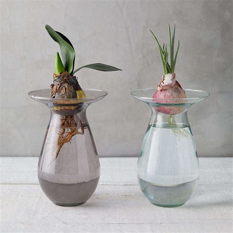 Irresistible Colored Glass Vases For Flowering Bulbs For Under 20