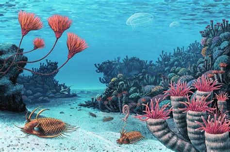 Trilobites Of The Early Devonian Photograph By Richard Bizley Pixels