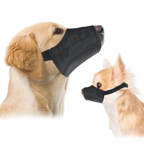 Are Dog Muzzles A Good Idea