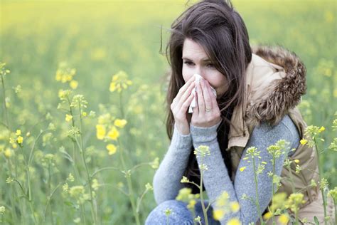 Spring Pollen What You Can Do To Breathe Easy Air Quality Consultants