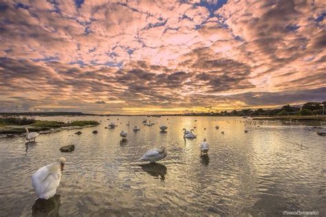 Perfect Light At Mudeford Quay In Dorset At Sunset Sunset Perfect