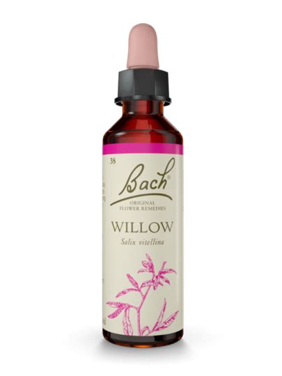 Willow Bach™ Original Flower Remedy - Positivity | Eating Right Living Right