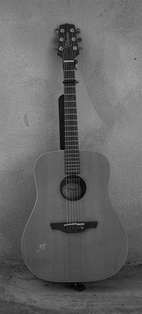 Gambar : hitam dan putih, gitar akustik, satu warna, gitar elektrik