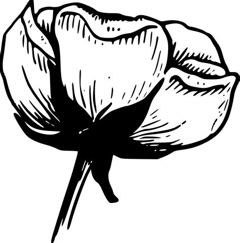 We are a woman owned business and have been serving clients in the community since 1944, and in that time, we've established ourselves as the. Vermin clipart - Clipground