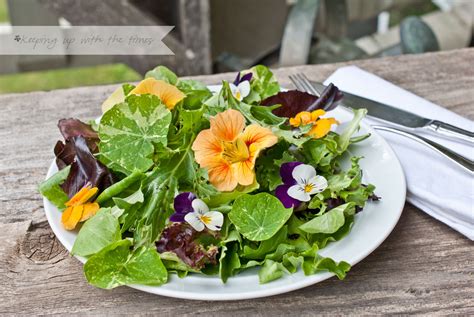 What flowers are edible in salads. Salads Archives - Keeping With The Times