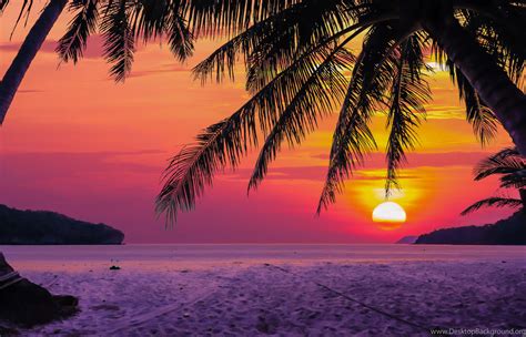 Tropical Sunset Desktop Background