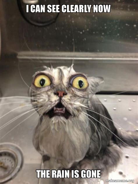 I Can See Clearly Now The Rain Is Gone Cat Bath Make A Meme