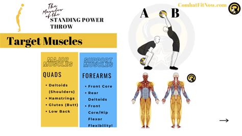 Acft Standing Power Throw Exercise List Combat Fit Now