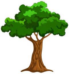 Png Tree Clipart 20 Free Cliparts Download Images On