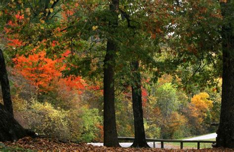 Oklahoma Boasts Spectacular Views Of Fall Foliage Fall Foliage