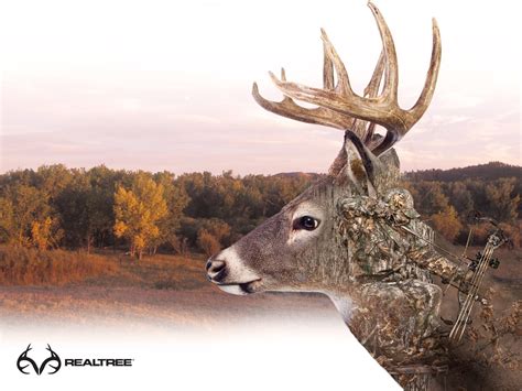 Deer Hunting Wallpaper ·① Wallpapertag