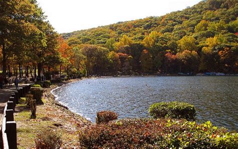 Maybe you would like to learn more about one of these? 5 Best Day Trips from New York City