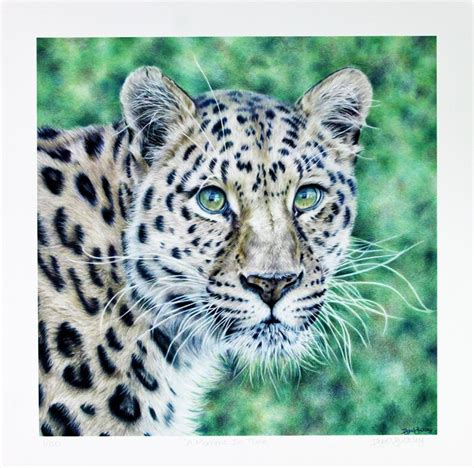Amur Leopard Print Limited Edition Animal Print Etsyde