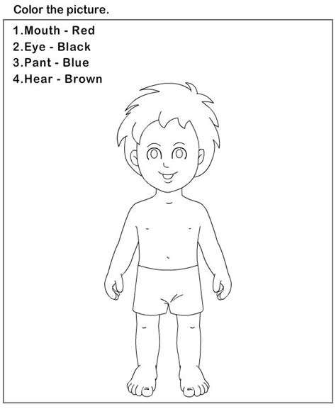 Give them a great start and fill their brains with knowledge. science Worksheets - preschool Worksheets - Body Parts ...