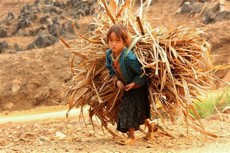 Child Labour › Global Dimension