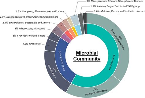 Frontiers Metagenomic Insights Into Functional And Taxonomic