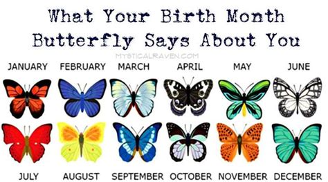 Butterflies Are Powerful Representations Of Life And Each Month Of The
