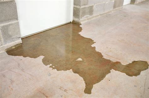 Water On Basement Floor Where Is It Coming From Clsa Flooring Guide