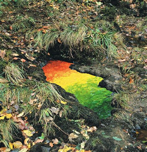 Andy Goldsworthy Leaves