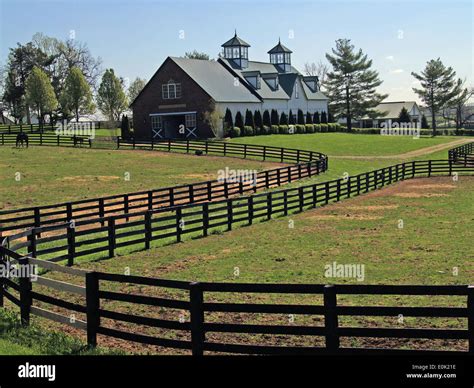 Black Fences And Horse Barn With Cupolas On The Bluegrass Country