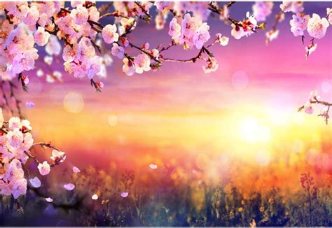 Leyiyi 7x5ft Romantic Cherry Blossoms Backdrop Virtual
