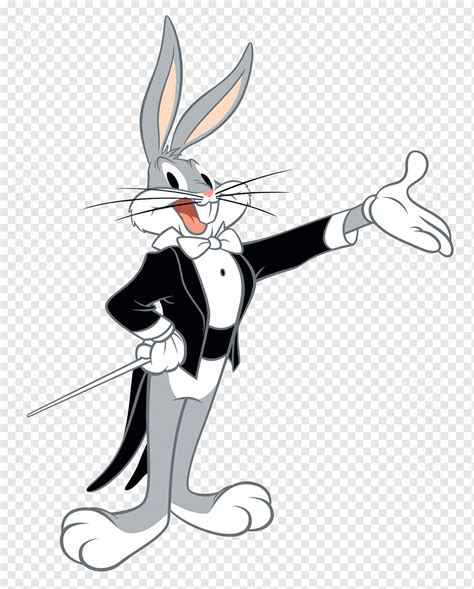 Looney Tunes Bugs Bunny Illustration Bugs Bunny Rabbit Cartoon