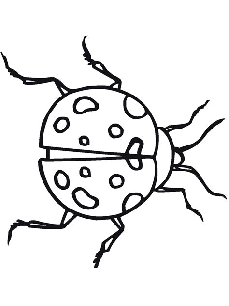 56 Dessins De Coloriage Insecte à Imprimer Sur Page 5