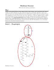 Human blood cell typing pogil answer key. The Spread of Pathogens.pdf - The Spread of Pathogens How ...