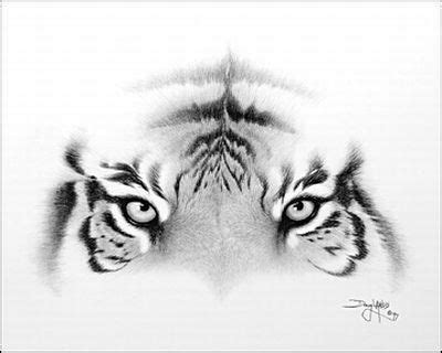 This Would Make A Very Cool Tattoo Olhos De Tigre Tatuagem Desenho