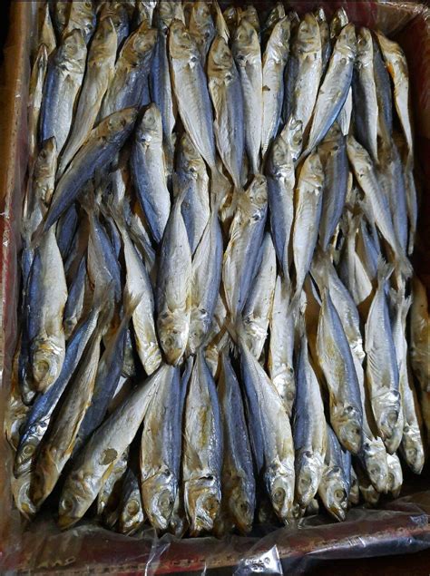 Ikan Asin Peda Japuh Layang 12kg Dan 1kg Lazada Indonesia
