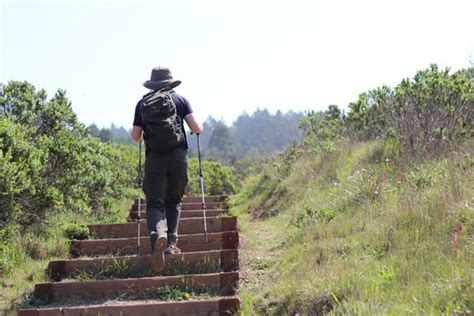 Mt Tamalpais State Park Matt Davis Steep Ravine Loop Stg