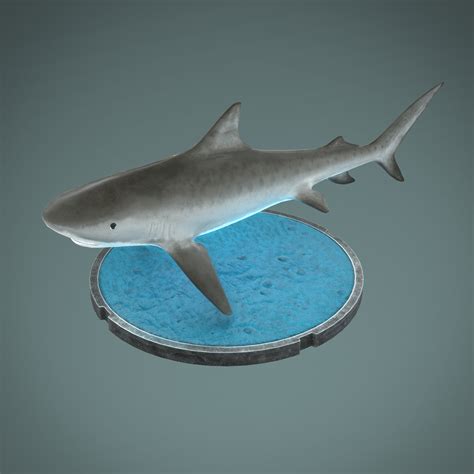 Artstation Tiger Shark 3d Low Poly Game Model Pbr Shading