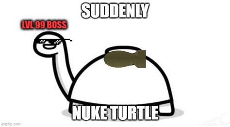Mine Turtle Memes Imgflip