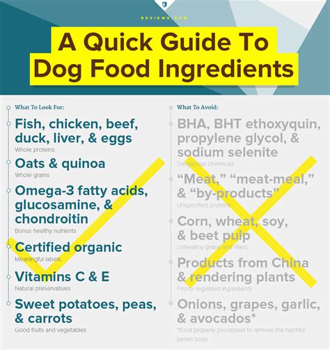 What's important when looking for a good dog food? The Truth About Dog Food—an Exposé Every Dog Lover Needs ...
