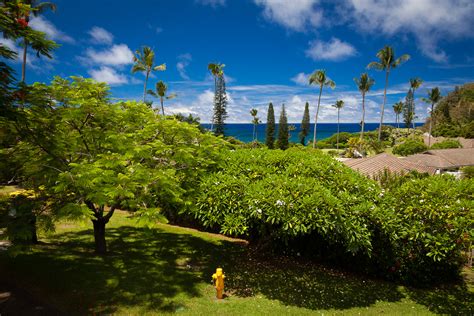 Be one of the first to write a review! File:Hana-Maui-Hawaii.jpg - Wikimedia Commons