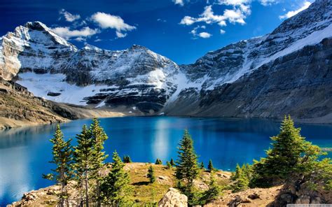 Hình Nền British Columbia Top Những Hình Ảnh Đẹp