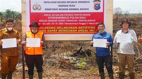 Menanti Sidang Perusahaan Pembakar Lahan Di Riau Regional Liputan6 Com