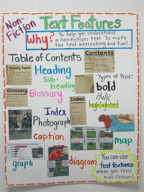 Text Features In Nonfiction Text